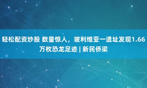 轻松配资炒股 数量惊人,玻利维亚一遗址发现1.66万枚恐龙足迹 | 新民侨梁