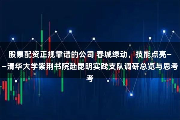 股票配资正规靠谱的公司 春城绿动，技能点亮——清华大学紫荆书院赴昆明实践支队调研总览与思考